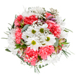 Embodying the uplifting spirit of Poplar's vibrant community, this bouquet radiates gentle celebration with each thoughtfully chosen flower. Bright white daisies shine at the center, their lime-green hearts full of innocence, surrounded by waves of ruffled coral-pink carnations that add warmth and depth, reminiscent of a friendly morning walk along Poplar High Street. Wispy sprays of airy gypsophila intertwine, showering the bouquet in softness while slender alstroemeria buds, tinted with shades of blush and violet, hint at beauty yet to bloom. Anchoring the composition, eucalyptus and deep green foliage provide both soothing scent and visual tranquillity, framing the cheerful display in a way that highlights every blossom's unique charm. Arranged in a natural, circular form, the bouquet is balanced and inviting-perfect for brightening birthdays, marking milestones, or simply sending a touch of sunshine into a loved one's day in E14. Its fresh, calming fragrance and expertly layered colours are a testament to Flowers Poplar's dedication to spreading happiness across the neighbourhood, one beautiful bouquet at a time.